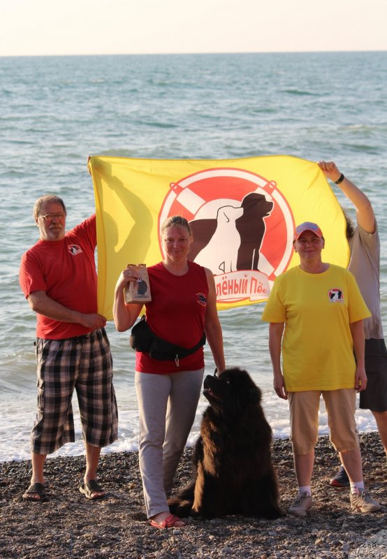 Фотография № 247710