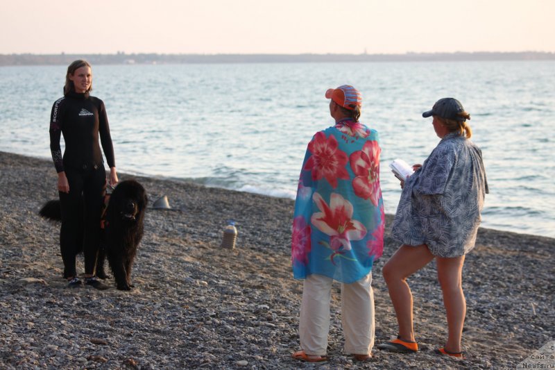 Фотография № 247711