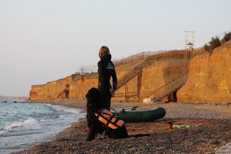 Фотография № 247713