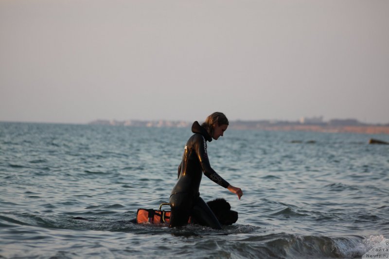 Фотография № 247717