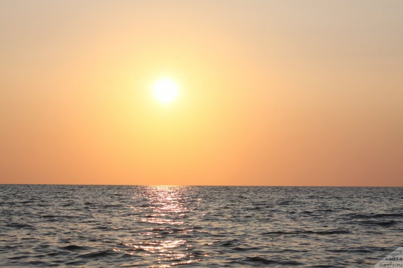 Фотография № 247719