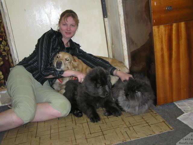 Фото: Anna Petrushkina (Анна Петрушкина), ньюфаундленд Dyurbahler Klab Al'faretta Vin'etta (Дюрбахлер Клаб Альфаретта Виньетта), Лиса, Яша