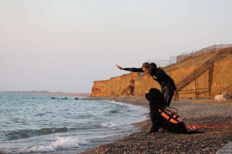 Фотография № 247720