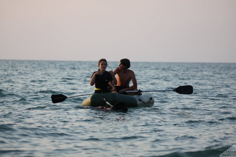 Фотография № 247721