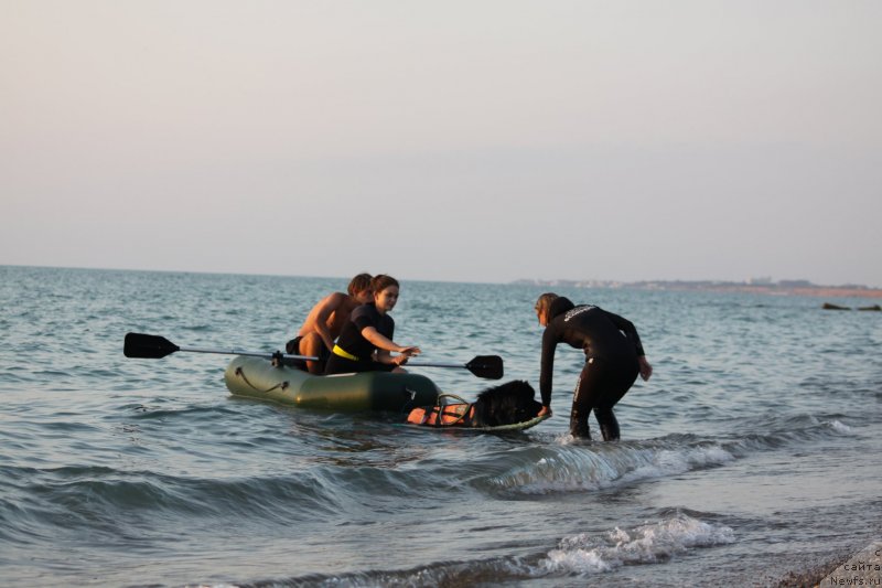 Фотография № 247722