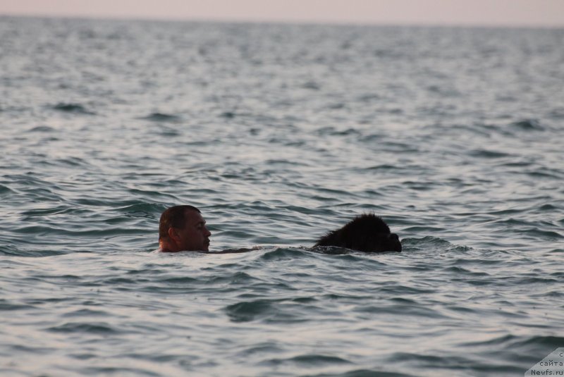 Фотография № 247728