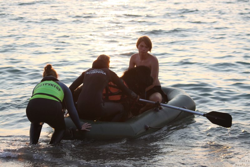 Фотография № 247729