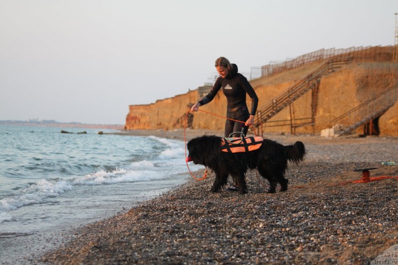 Фотография № 247733