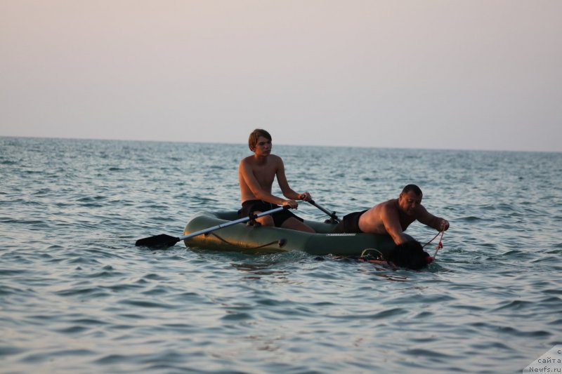 Фотография № 247735