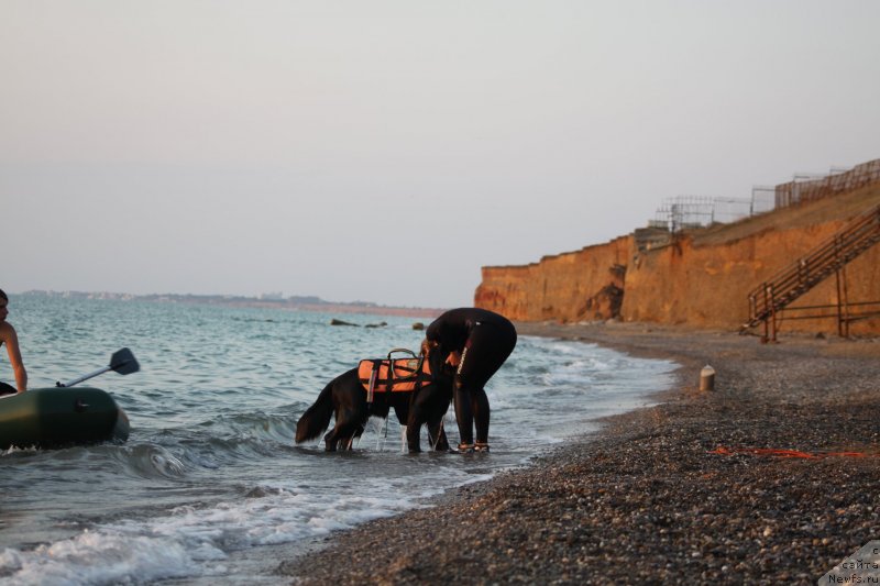 Фотография № 247736