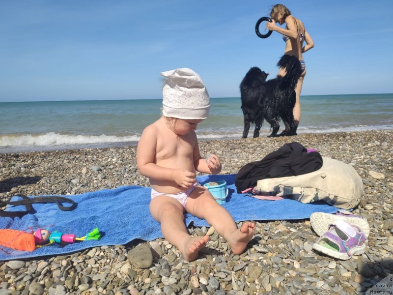 Фотография № 247782