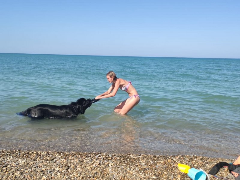 Фотография № 247786