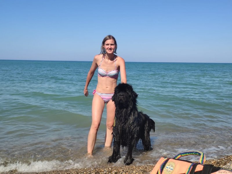 Фотография № 247787