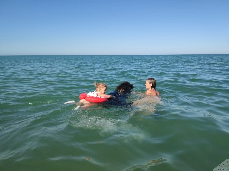 Фотография № 247791