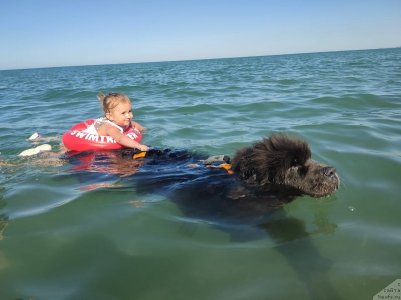 Фотография № 247792