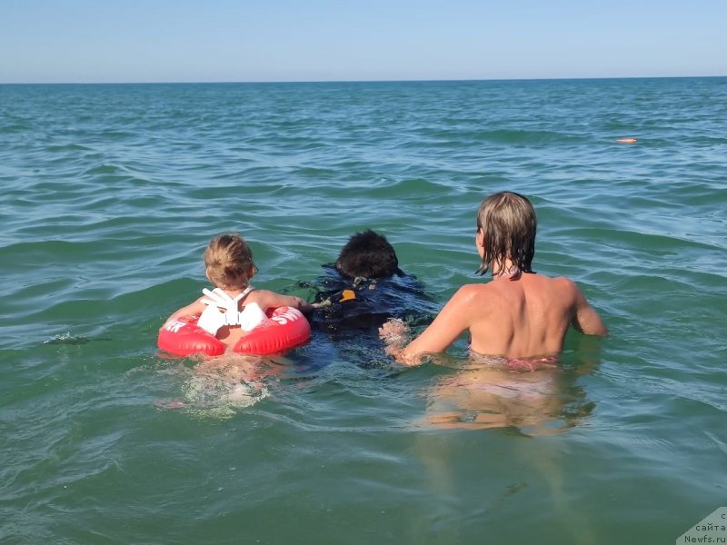 Фотография № 247793