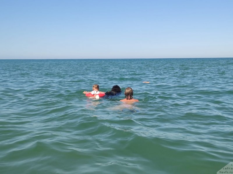 Фотография № 247795