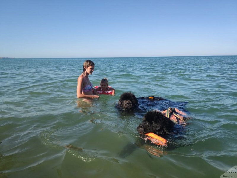 Фотография № 247800