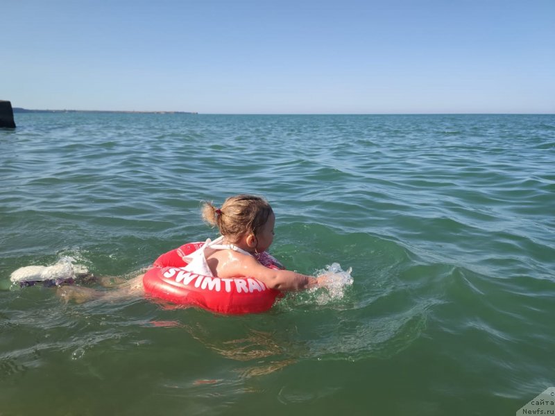 Фотография № 247802