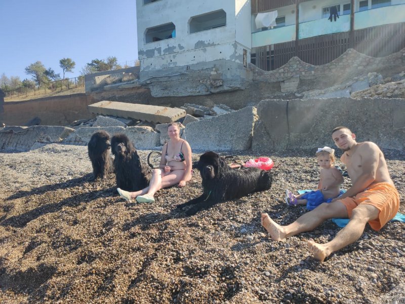 Фотография № 247803