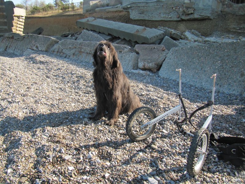 Фотография № 247804