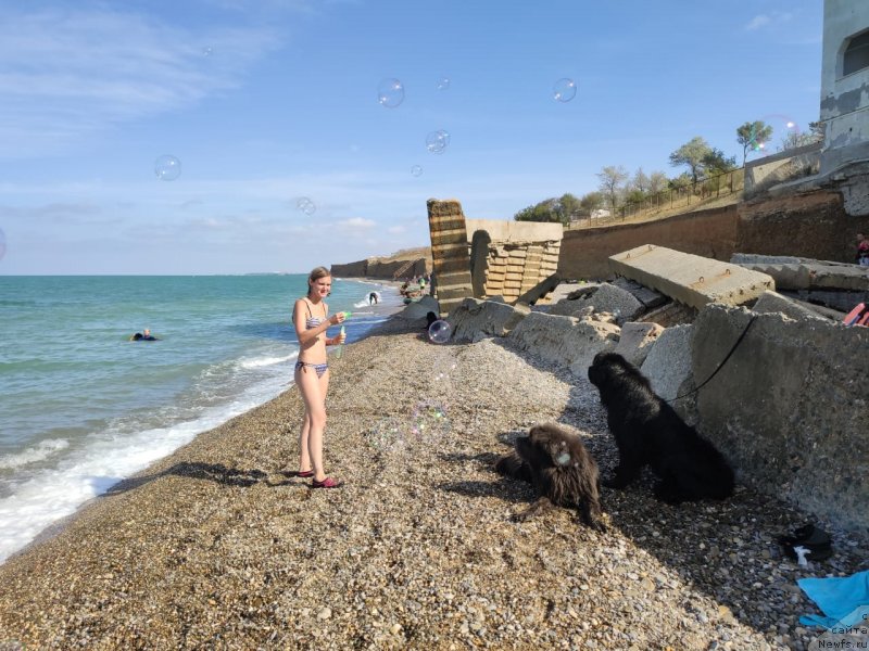 Фотография № 247807