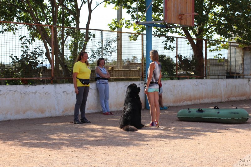 Фотография № 247826