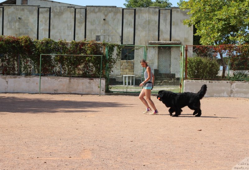 Фотография № 247827