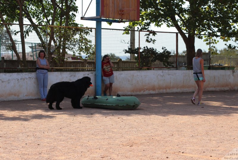 Фотография № 247828