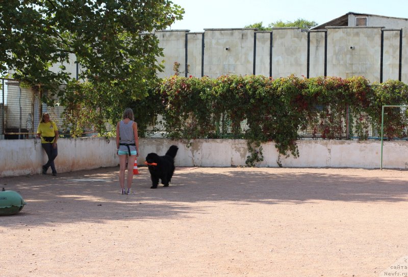 Фотография № 247831