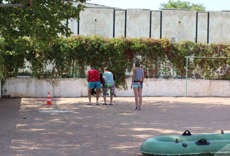 Фото: ньюфаундленд Richchi s Berega Dona (Риччи с Берега Дона), Anastasiya Kireeva (Анастасия Киреева)
