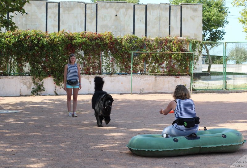 Фотография № 247839