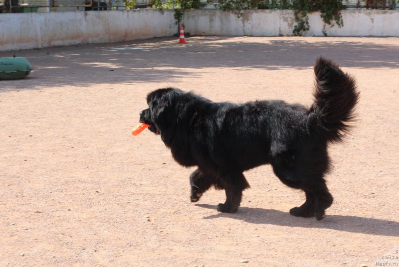 Фотография № 247841