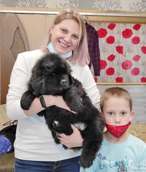 Фото: ньюфаундленд YUlitta iz Plemeni Kedra (Юлитта из Племени Кедра)