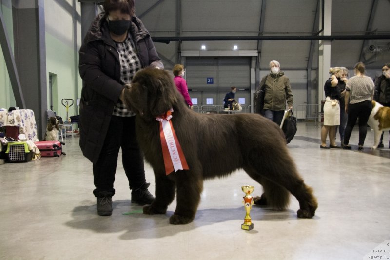 Фотография № 247899