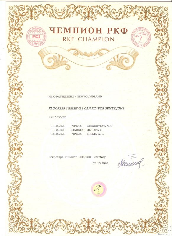 Фото: ньюфаундленд Kloofbears I Believe I Can Flay for Sent Djons