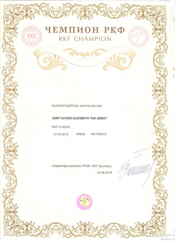 Фото: ньюфаундленд Sent Djons Elizabeth the Great (Сент Джонс Елизабет зе Грейт)