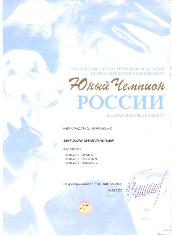 Фото: ньюфаундленд Sent Djons Leaves in Autumn (Сент Джонс Леавэс ин Аутумн)