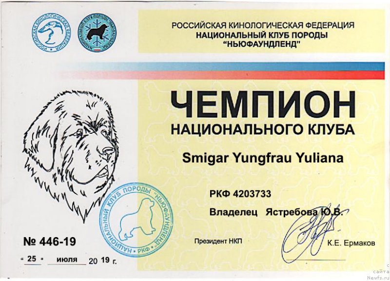 Фото: ньюфаундленд Smigar Yungfrau Yuliana (Смигар Юнгфрау Юлиана)