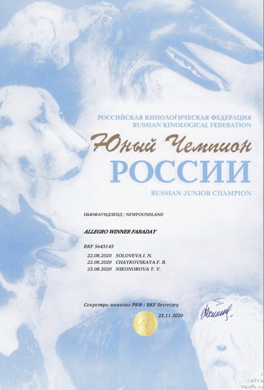 Фото: ньюфаундленд Allegro Winner Faraday (Аллегро Виннер Фарадей)