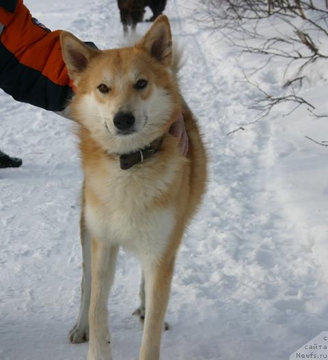 Фото: Evgeniya Ivanova (Евгения Иванова)