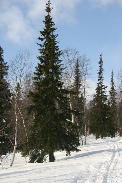 Фото: Evgeniya Ivanova (Евгения Иванова)