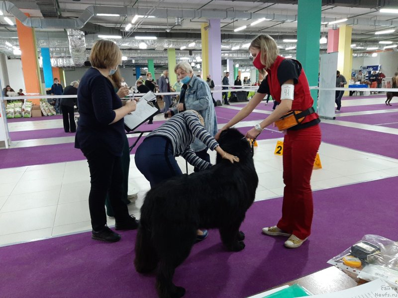 Фотография № 248062