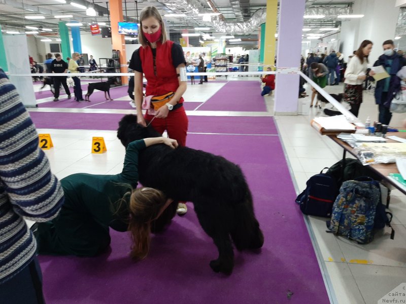 Фотография № 248064