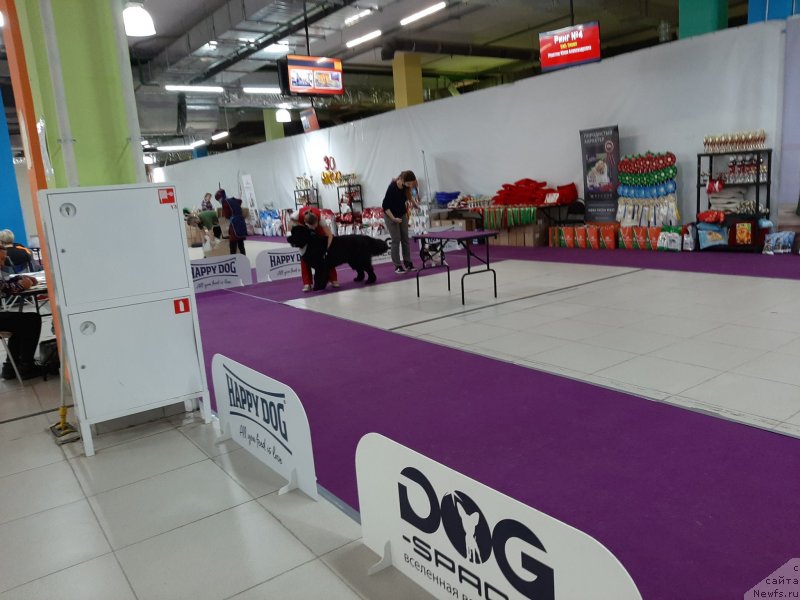 Фотография № 248073