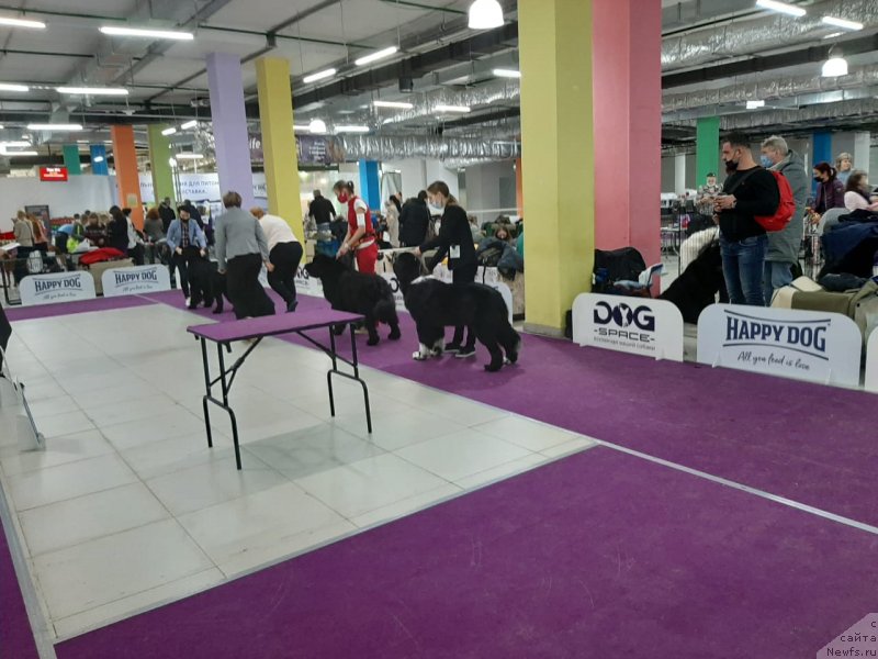 Фотография № 248074