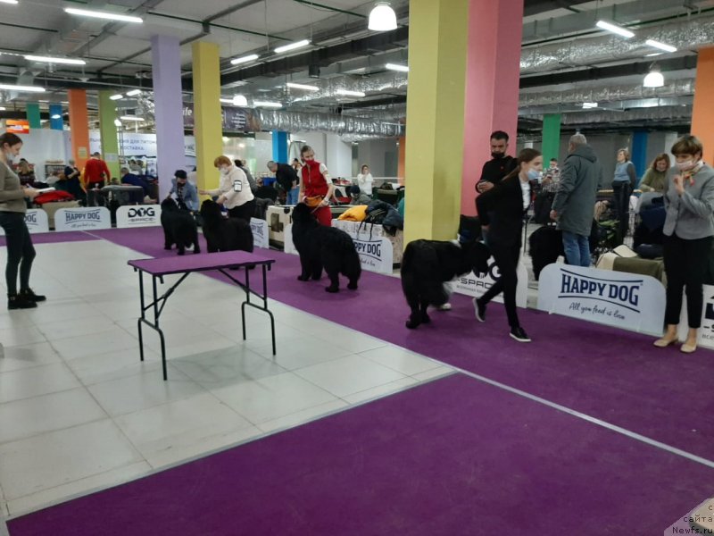 Фотография № 248075