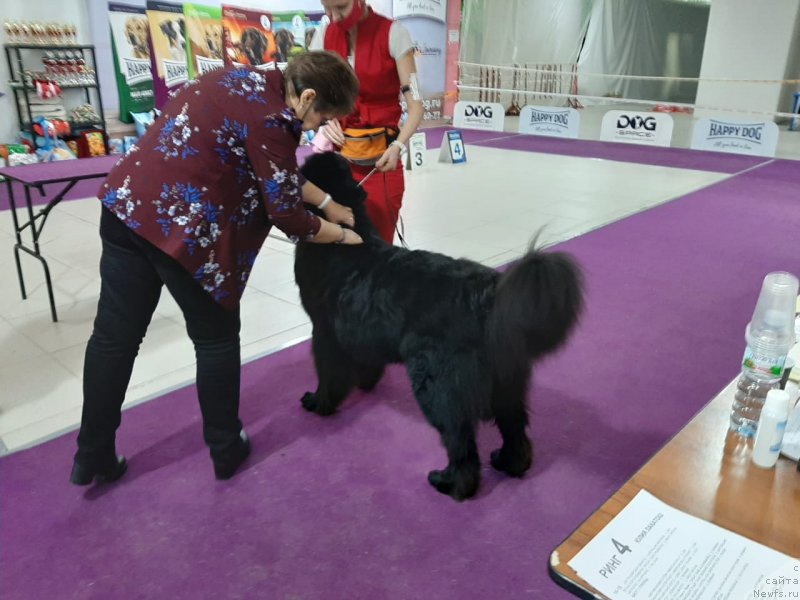 Фотография № 248076