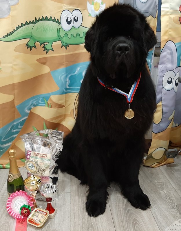 Фотография № 248080