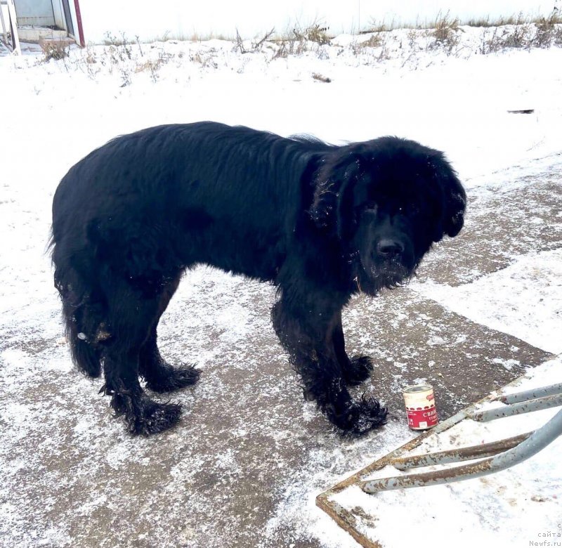 Фото: Irina Konischeva (Ирина Конищева)